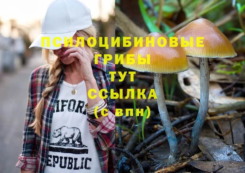 Псилоцибиновые грибы Psilocybine cubensis  Чишмы 